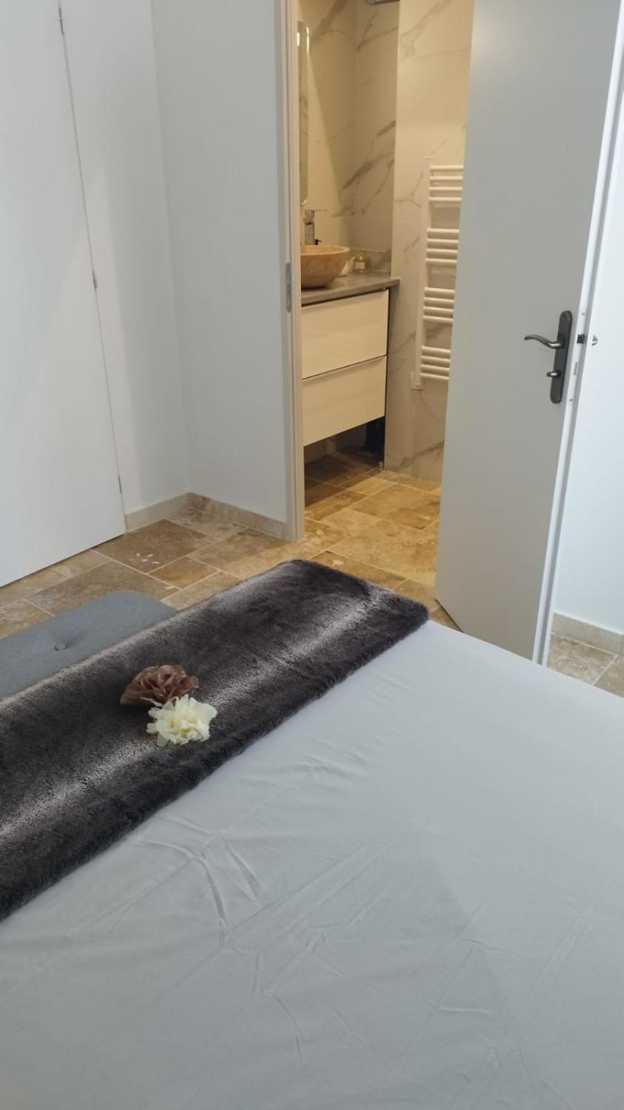 Appartement Lumineux En Rdc Bourgoin-Jallieu Esterno foto